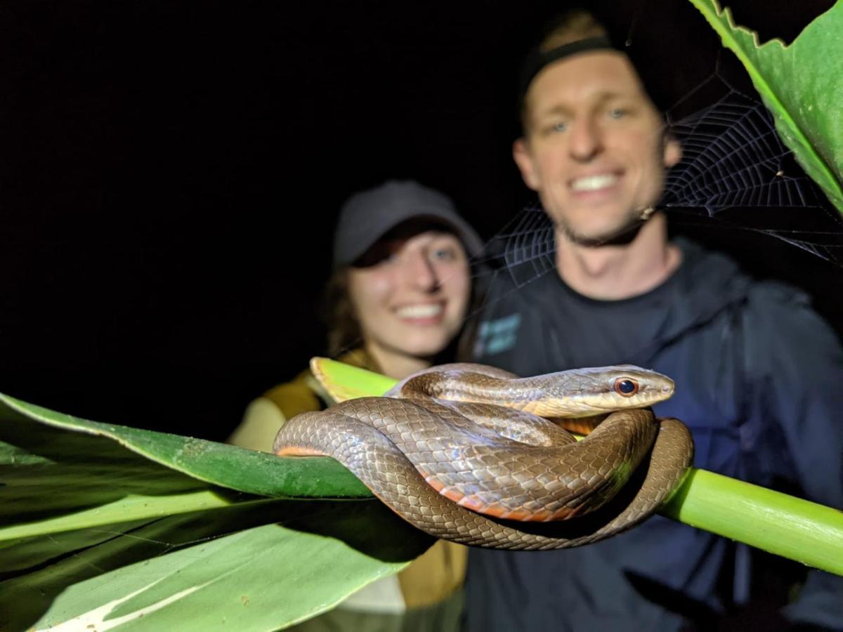 Casa Chilamates 2.0 Tortuguero Kültér fotó