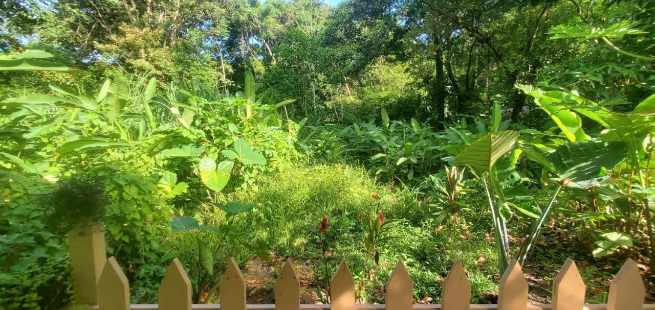 Casa Chilamates 2.0 Tortuguero Kültér fotó