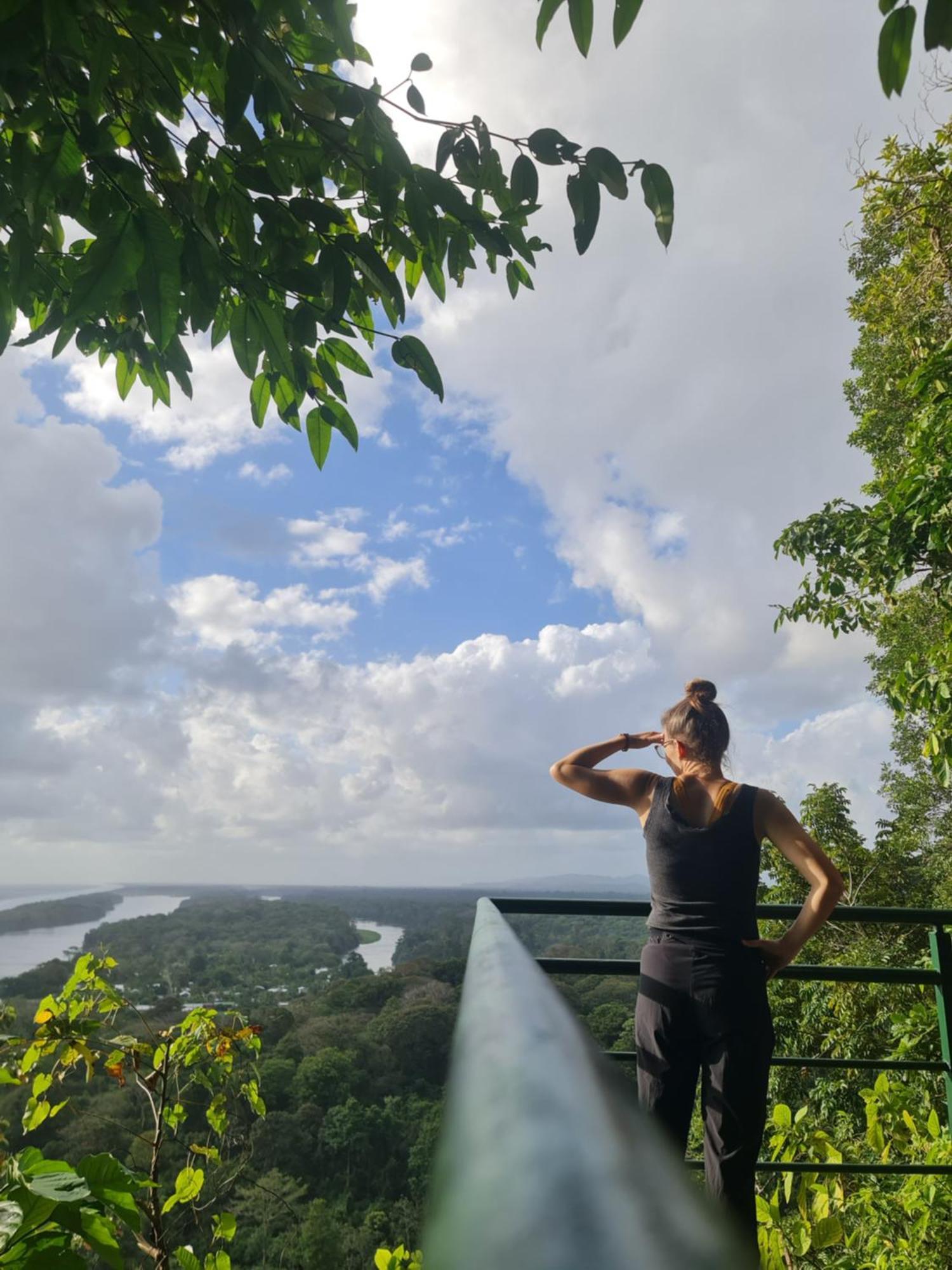 Casa Chilamates 2.0 Tortuguero Kültér fotó